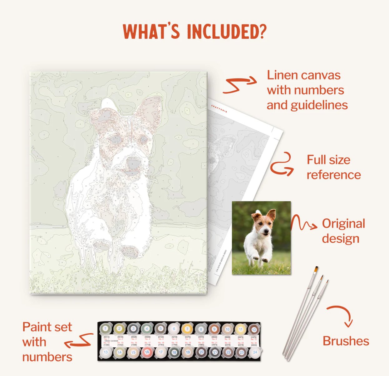 Custom Paint by Numbers Kit